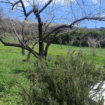 Finca Del Abu Los Marines Zewnętrze zdjęcie