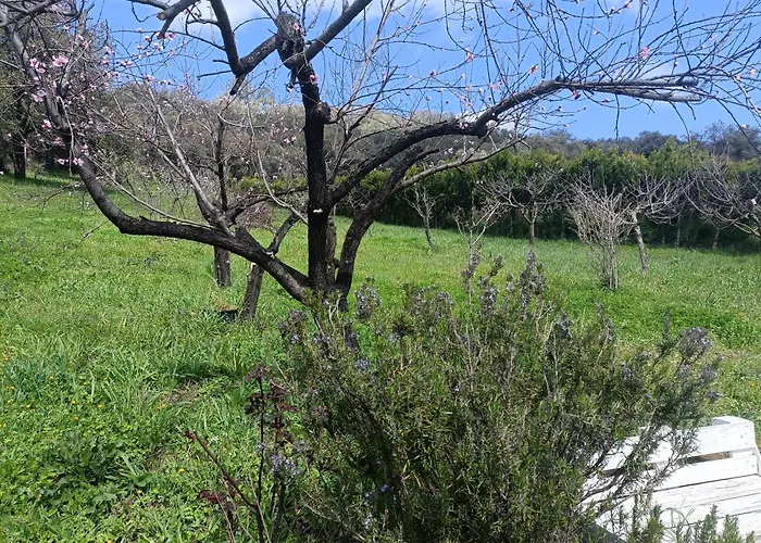 Finca Del Abu
