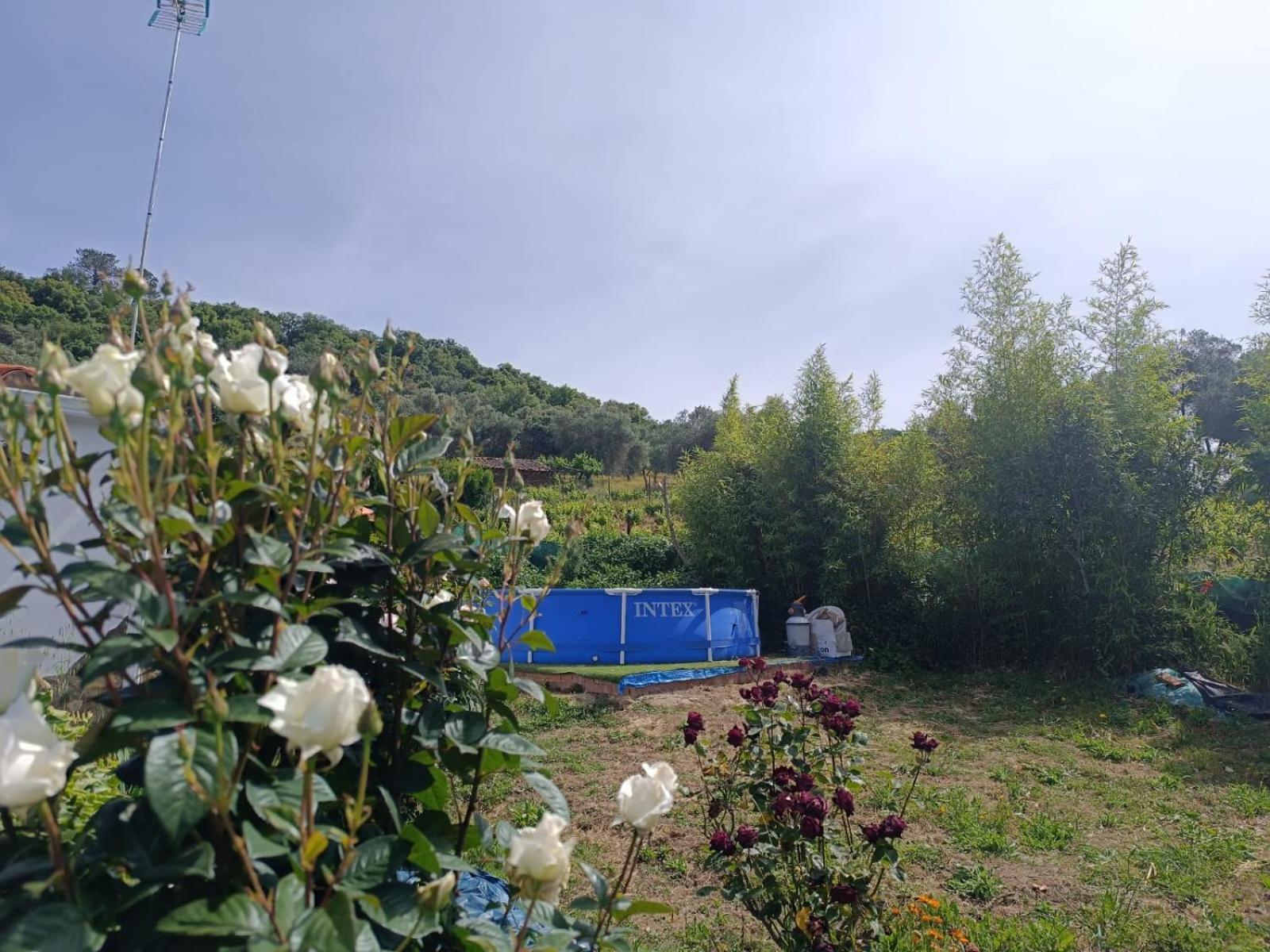 Holiday home Del Abu