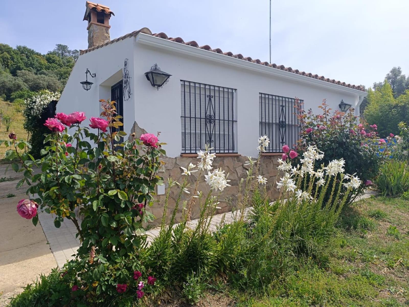 Del Abu Holiday home